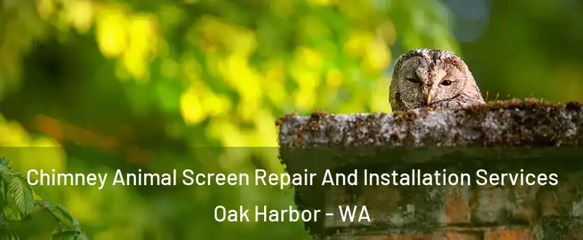  Chimney Animal Screen Repair And Installation Services Oak Harbor - WA