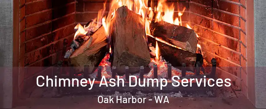  Chimney Ash Dump Services Oak Harbor - WA
