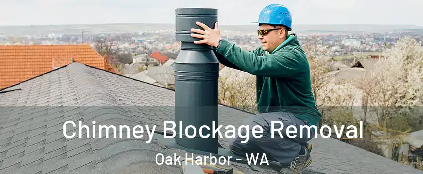  Chimney Blockage Removal Oak Harbor - WA