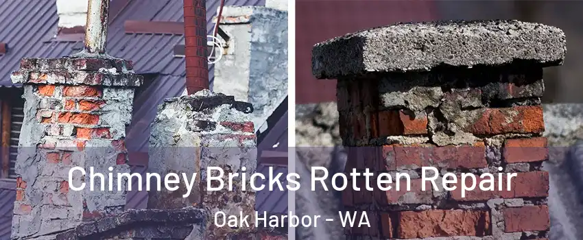  Chimney Bricks Rotten Repair Oak Harbor - WA