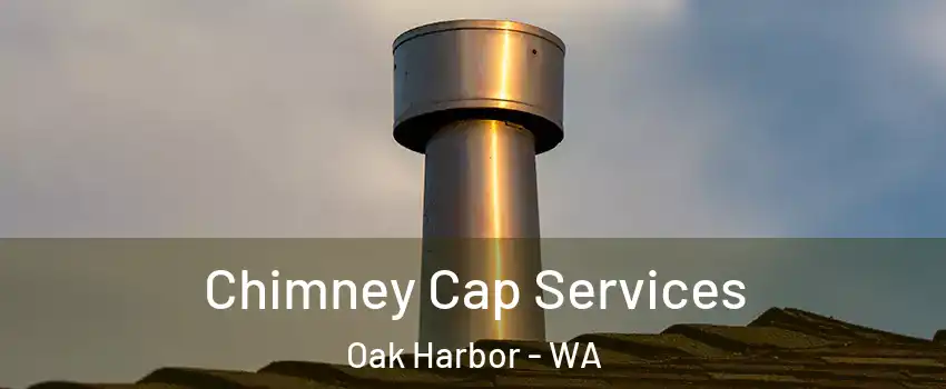  Chimney Cap Services Oak Harbor - WA