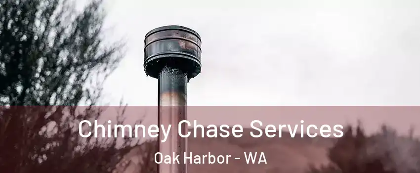  Chimney Chase Services Oak Harbor - WA
