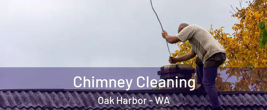  Chimney Cleaning Oak Harbor - WA