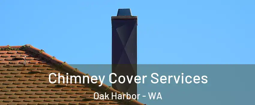  Chimney Cover Services Oak Harbor - WA
