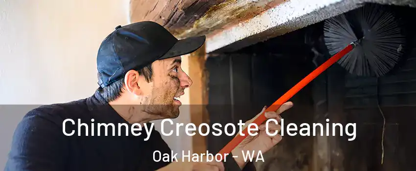  Chimney Creosote Cleaning Oak Harbor - WA