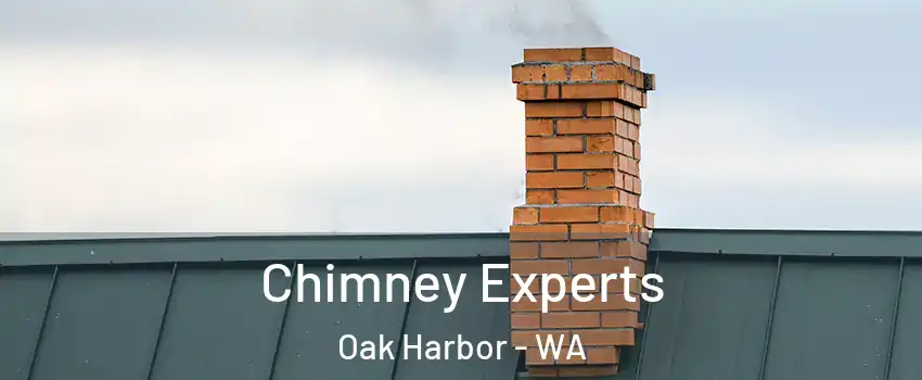  Chimney Experts Oak Harbor - WA