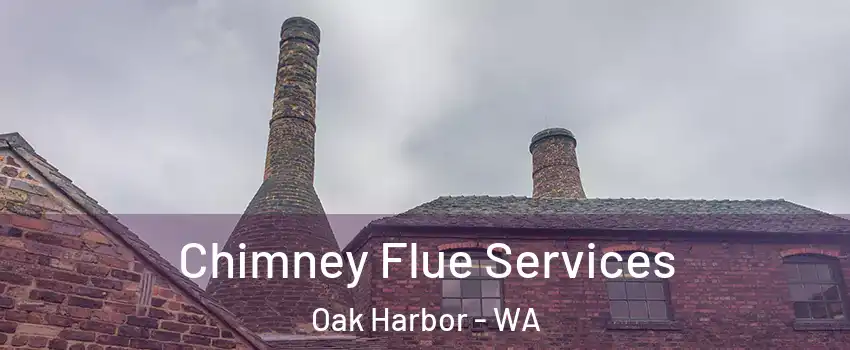  Chimney Flue Services Oak Harbor - WA