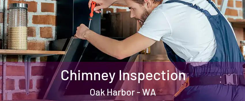  Chimney Inspection Oak Harbor - WA
