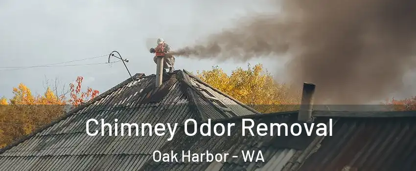  Chimney Odor Removal Oak Harbor - WA