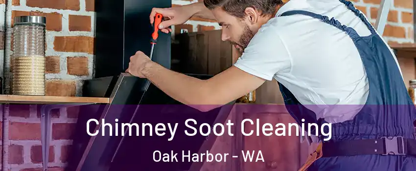  Chimney Soot Cleaning Oak Harbor - WA
