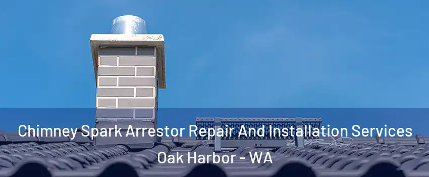  Chimney Spark Arrestor Repair And Installation Services Oak Harbor - WA