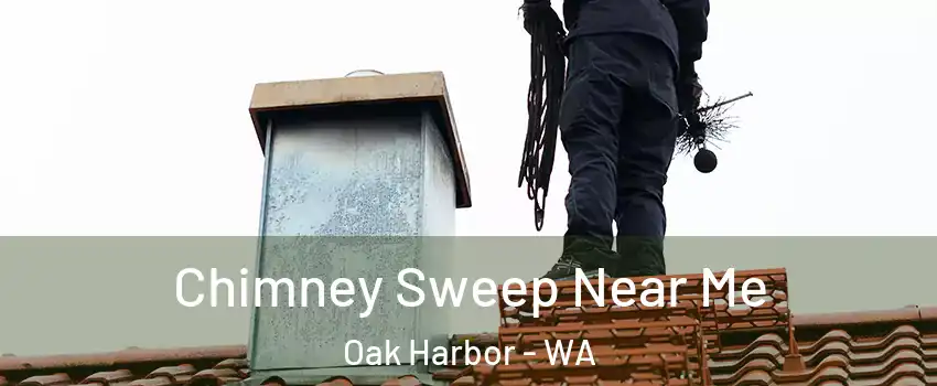  Chimney Sweep Near Me Oak Harbor - WA