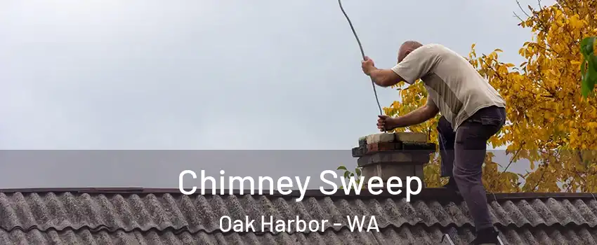  Chimney Sweep Oak Harbor - WA