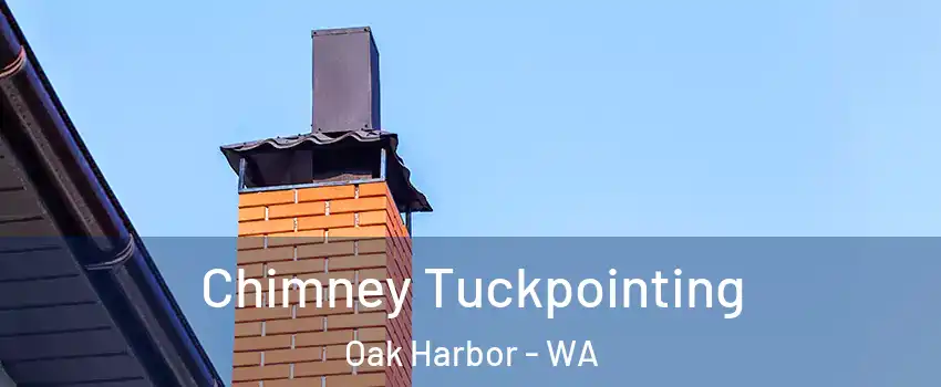  Chimney Tuckpointing Oak Harbor - WA