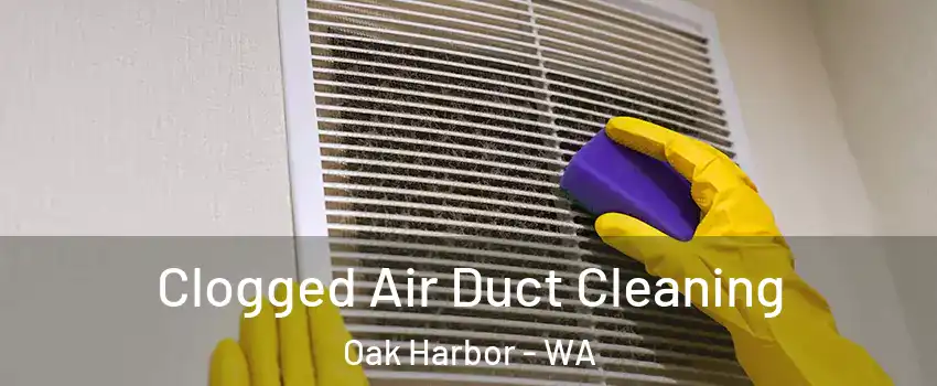  Clogged Air Duct Cleaning Oak Harbor - WA