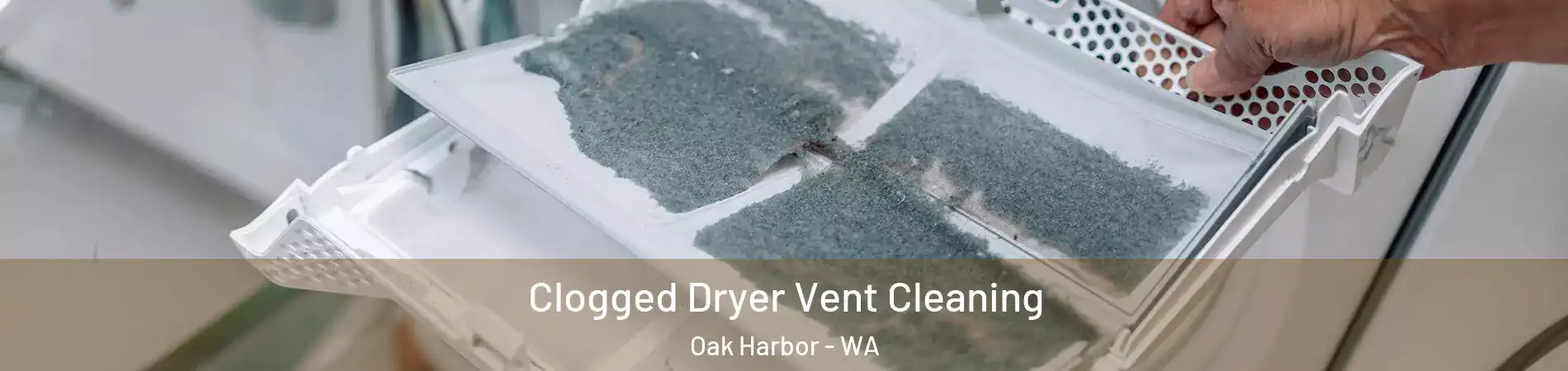  Clogged Dryer Vent Cleaning Oak Harbor - WA