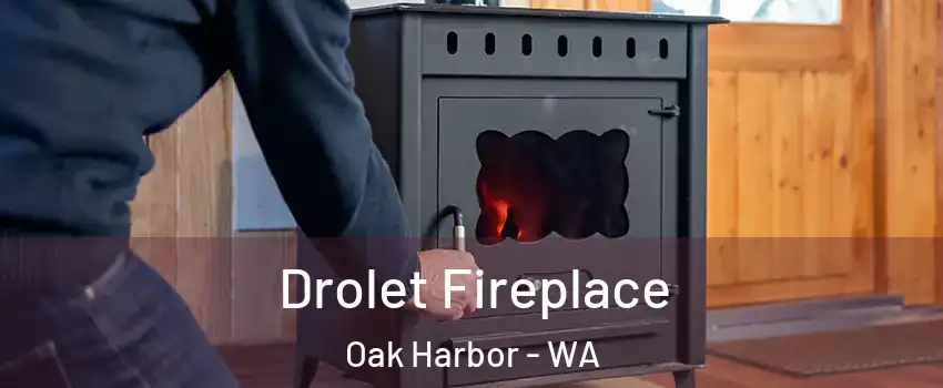  Drolet Fireplace Oak Harbor - WA