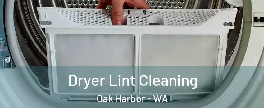  Dryer Lint Cleaning Oak Harbor - WA