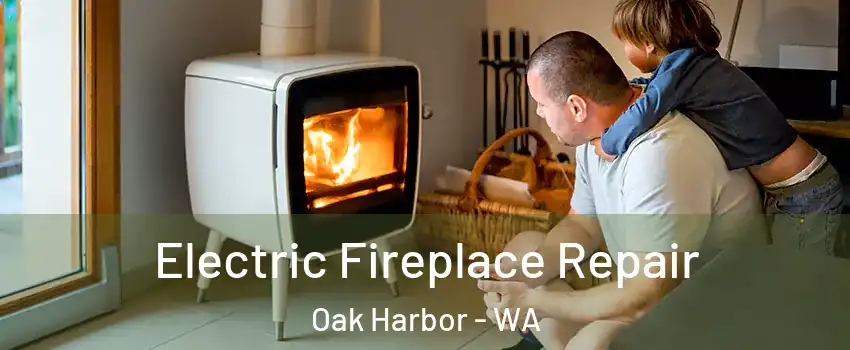  Electric Fireplace Repair Oak Harbor - WA
