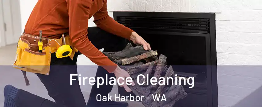  Fireplace Cleaning Oak Harbor - WA