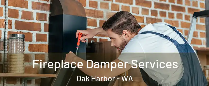  Fireplace Damper Services Oak Harbor - WA