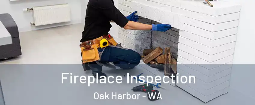  Fireplace Inspection Oak Harbor - WA
