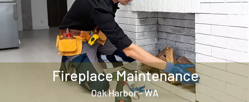  Fireplace Maintenance Oak Harbor - WA