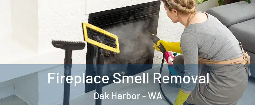  Fireplace Smell Removal Oak Harbor - WA