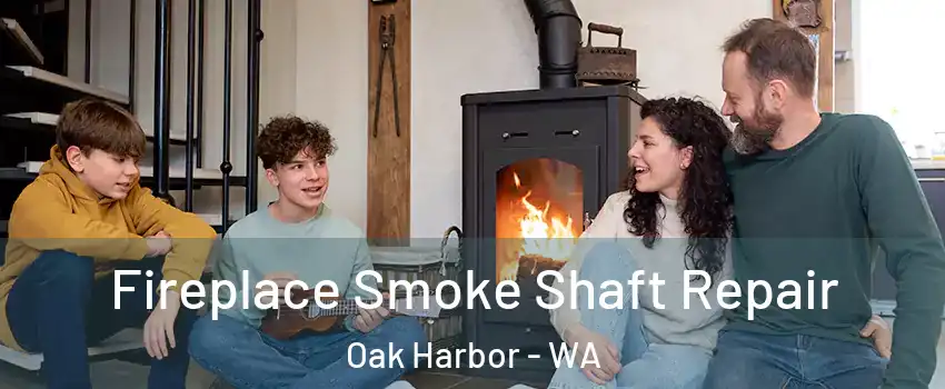  Fireplace Smoke Shaft Repair Oak Harbor - WA