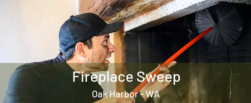  Fireplace Sweep Oak Harbor - WA