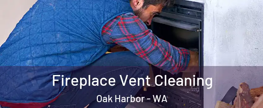  Fireplace Vent Cleaning Oak Harbor - WA