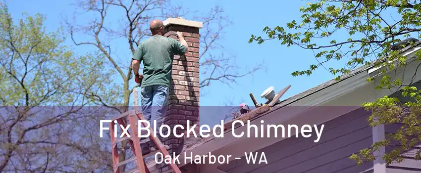  Fix Blocked Chimney Oak Harbor - WA