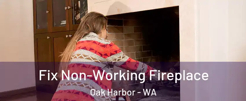  Fix Non-Working Fireplace Oak Harbor - WA