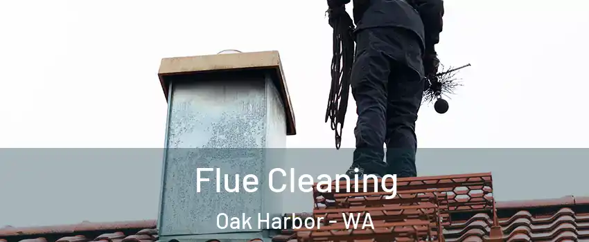  Flue Cleaning Oak Harbor - WA