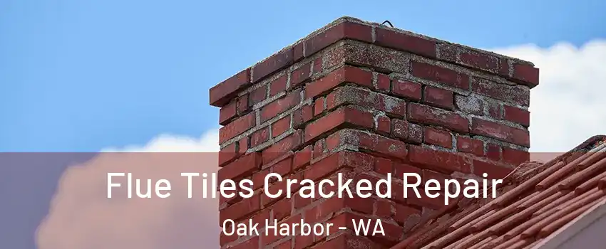  Flue Tiles Cracked Repair Oak Harbor - WA