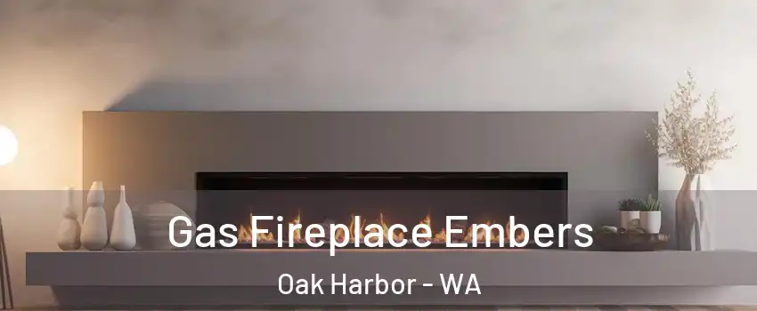  Gas Fireplace Embers Oak Harbor - WA
