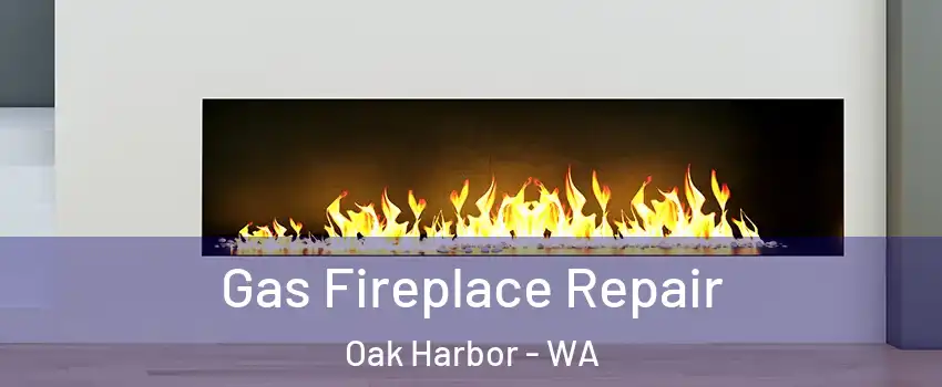  Gas Fireplace Repair Oak Harbor - WA