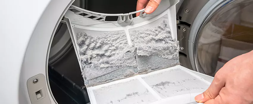 Best Dryer Lint Removal Company in Oak Harbor, Washington
