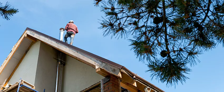 Birds Removal Contractors from Chimney in Oak Harbor, WA
