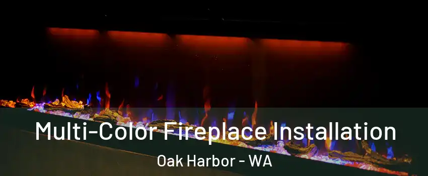  Multi-Color Fireplace Installation Oak Harbor - WA
