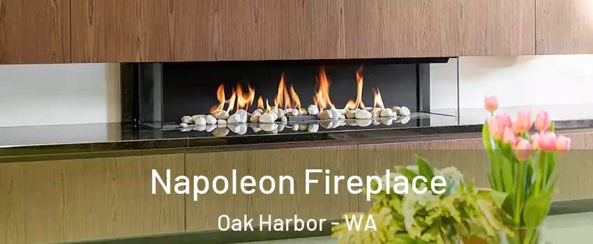  Napoleon Fireplace Oak Harbor - WA