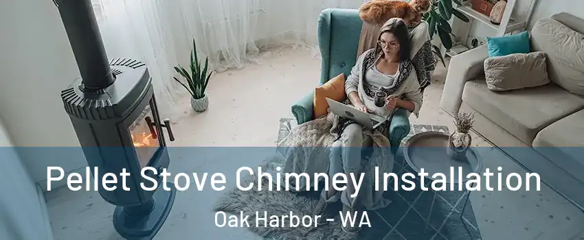  Pellet Stove Chimney Installation Oak Harbor - WA