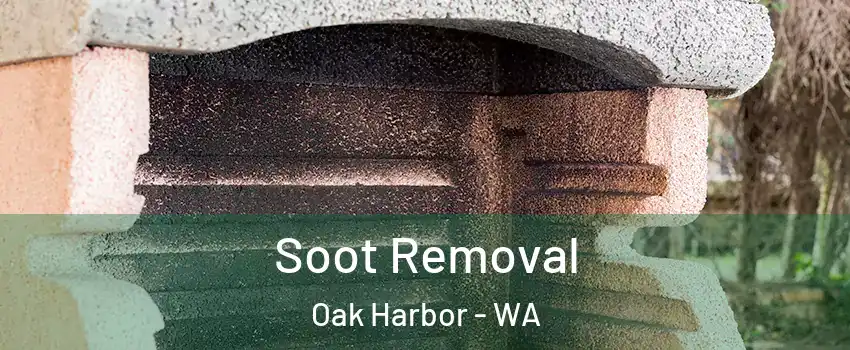  Soot Removal Oak Harbor - WA