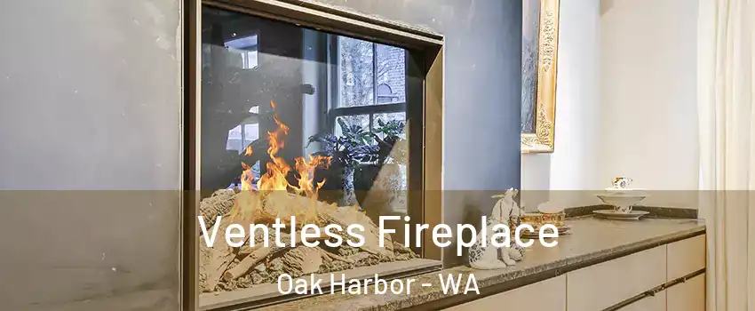  Ventless Fireplace Oak Harbor - WA